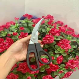 KÉO CẮT GÀ ROSLE