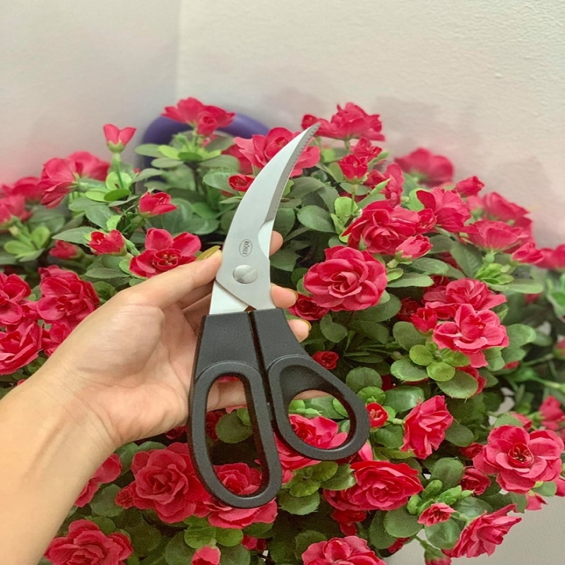 KÉO CẮT GÀ ROSLE