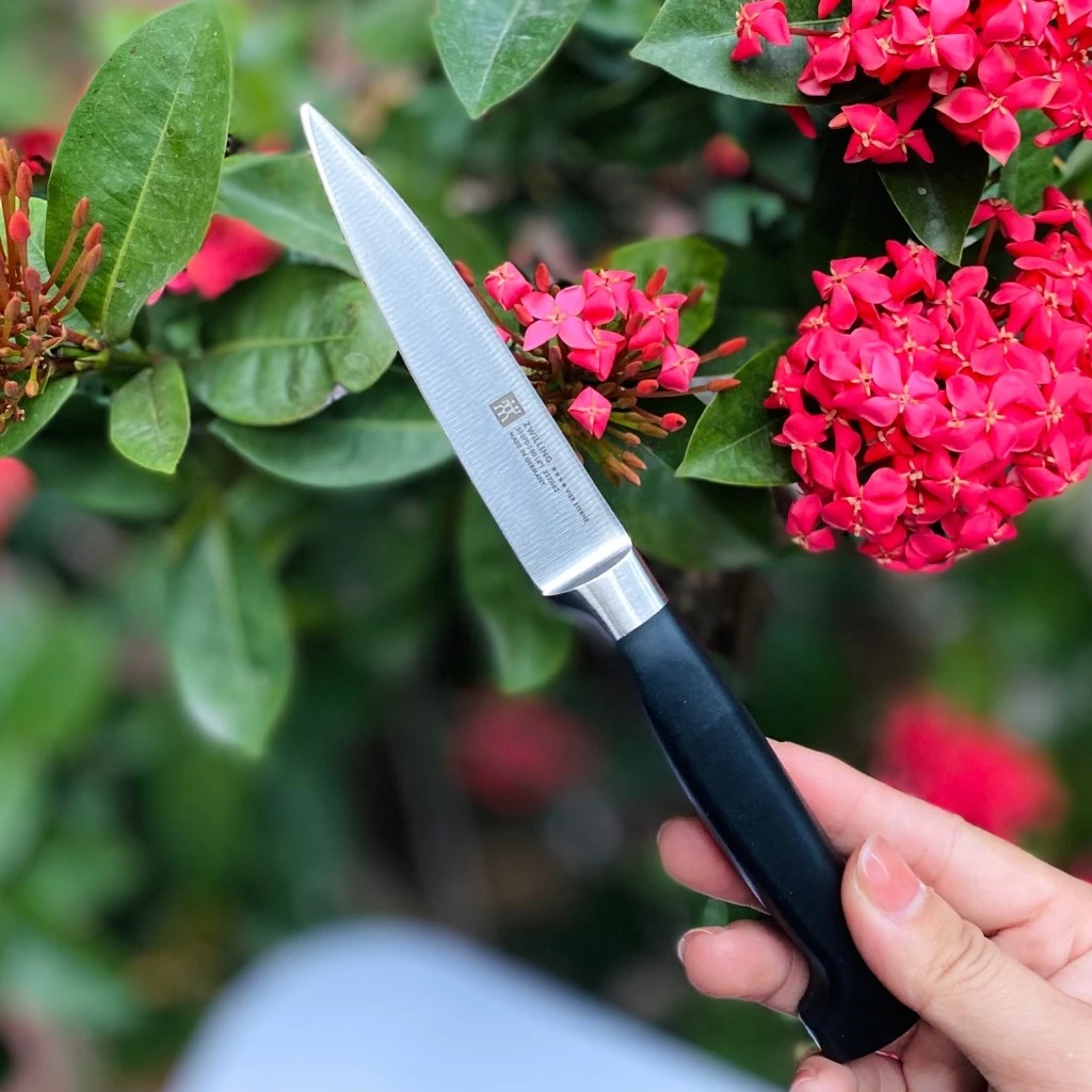 Bộ dao tự mài Zwilling Vier Sterne Sharp Block 7 món