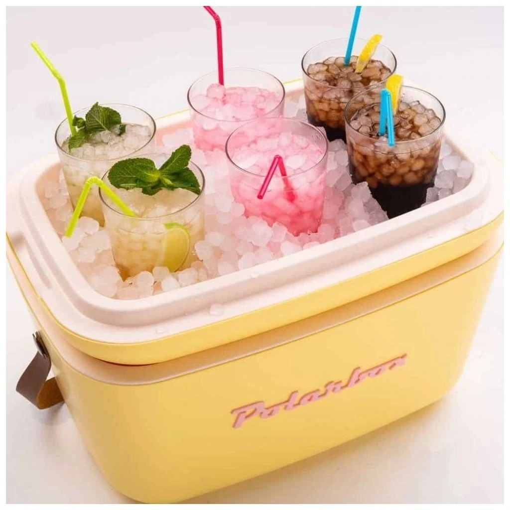 Hộp giữ nhiệt Polarbox 12L Nevera Amarilla màu vàng