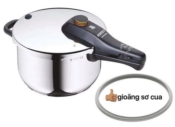 Gioăng cao su thay thế cho nồi áp suất WMF, D = 22 cm