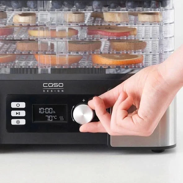 Máy sấy hoa quả CASO DH 450