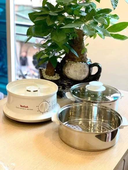NỒI HẤP 2 TẦNG TEFAL VC1451 DAMPFGARER