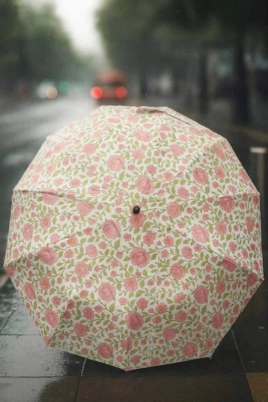 Ô tự động với 24 nan Tewa Japan