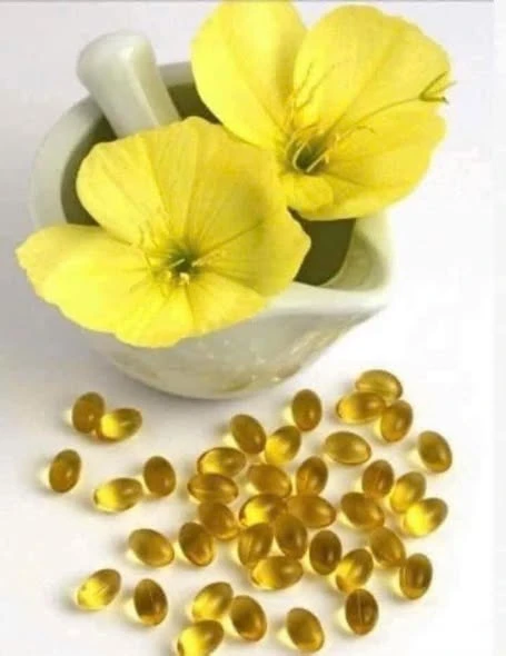 TINH DẦU HOA ANH THẢO Nachtkerzenöl 500 mg của Warnke 100 viên