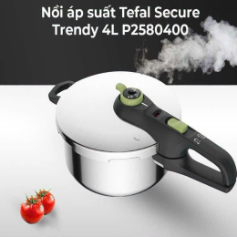 Nồi áp suất Tefal Secure 5 Neo 4L