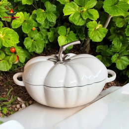 NỒI GANG CÀ CHUA MOOS PHỦ MEN GỐM 26CM (còn trắng)