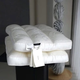 Set 2 Gối Xơ Đậu Organic size 48x74cm