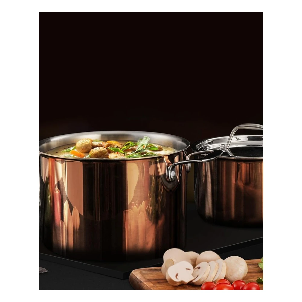 Bộ nồi chảo inox liền khối cao cấp Ciwete 6 món - Màu đồng - SS1503-10PC