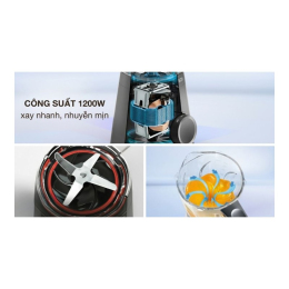 Máy xay sinh tố Bosch MMB6176B